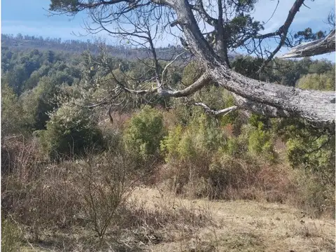 camino al paraiso