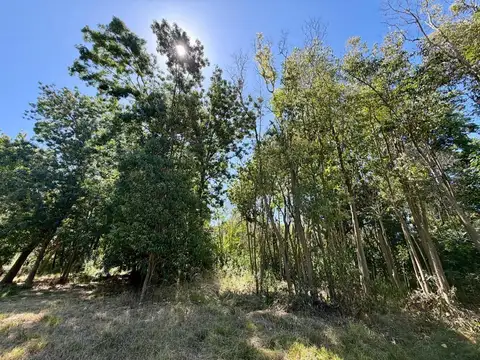 Lote en venta en Matheu   ID 5928