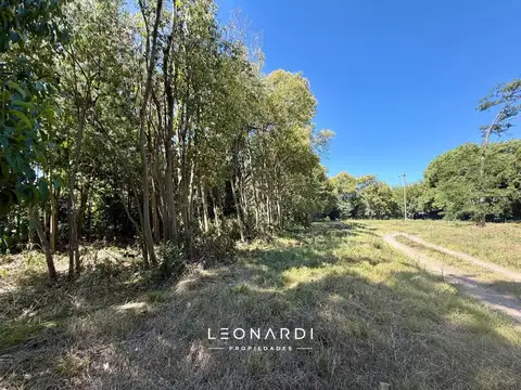 Juan B. Justo 1021, Lote 9