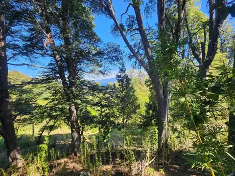 Terreno en Venta en Villa la Angostura, USD 110.000
