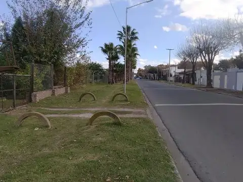 Orsetti al 100