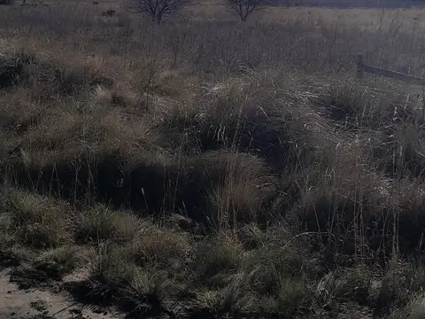 Terreno en Venta de 1687,0 m2