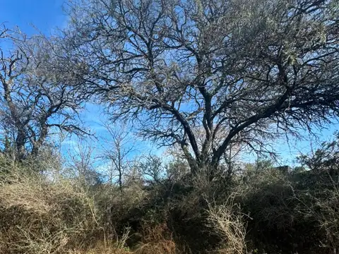VENTA LOTE - LOS MOLINOS - BAJADA AL RÍO