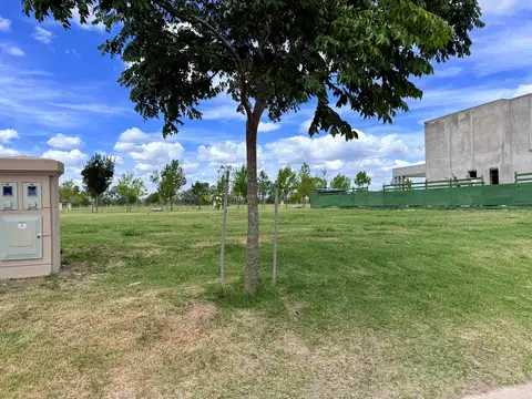 Terreno en Venta 42  mts Frente
