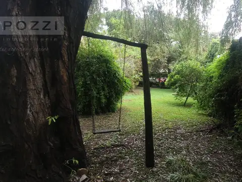 San Martin de Tours  810