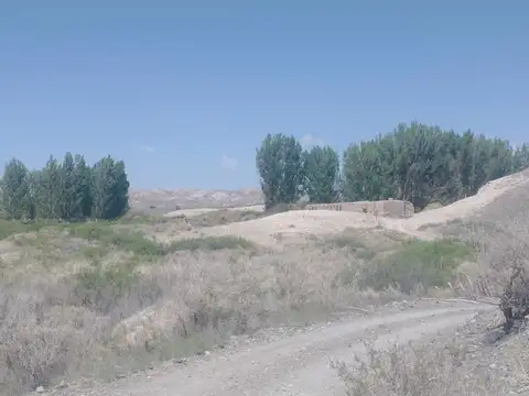 Campo agrícola con agua para 65 has Las Flores