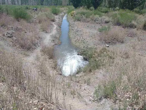 Campo agrícola con agua para 65 has Las Flores