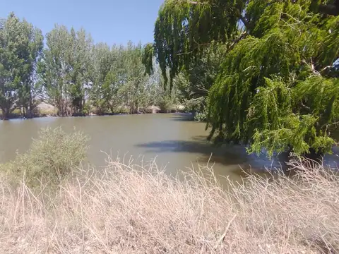 Campo agrícola con agua para 65 has las flores
