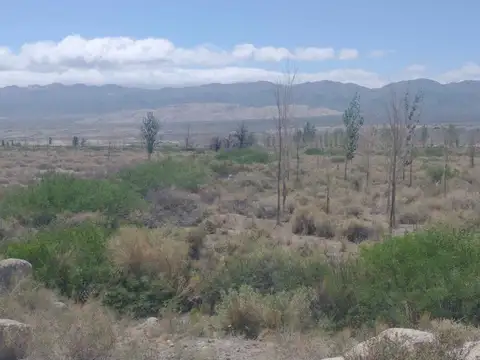 Al este de Ruta 149 100