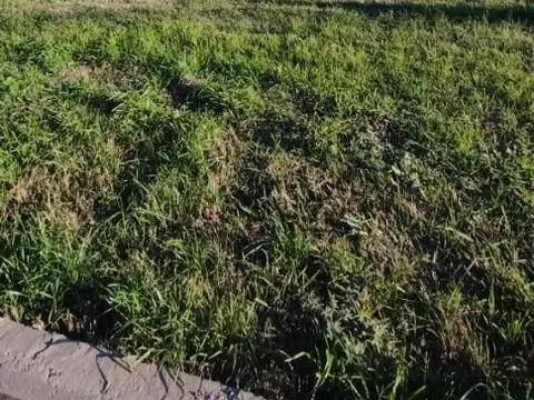 Terreno en Venta en Angel Gallardo, USD 22.000