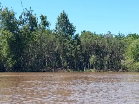 Rio Parana