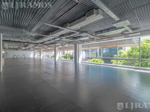 Oficina en Alquiler con 11 cocheras