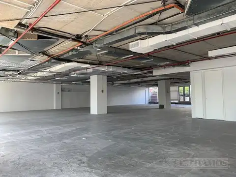 Oficina en Alquiler con 11 cocheras