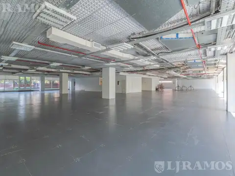 Oficina en Alquiler con 11 cocheras