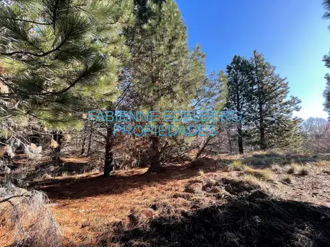 2 Hectáreas sobre rio Quilquihue