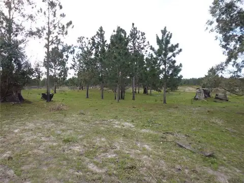 Campo en Venta de 190  ha