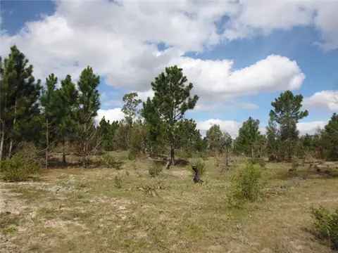 Campo en Venta Agricola