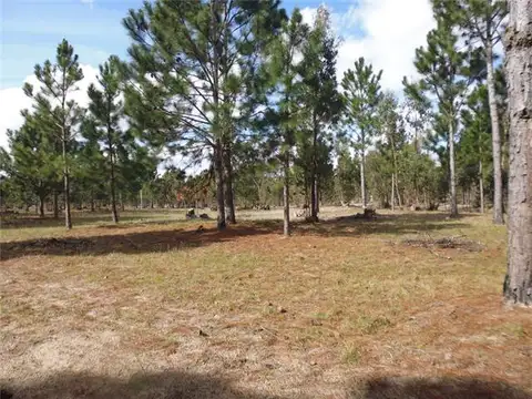 PROPIEDADES RURALES - AGRICOLA - ZONAS RURALES