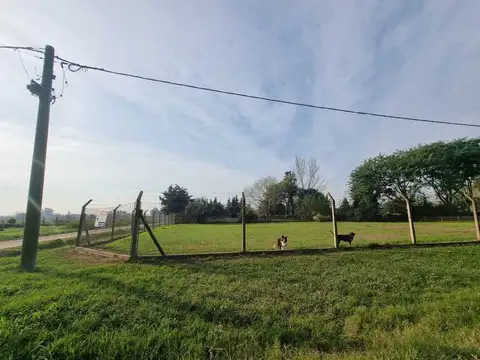 Terreno en Venta de 460,0 m2