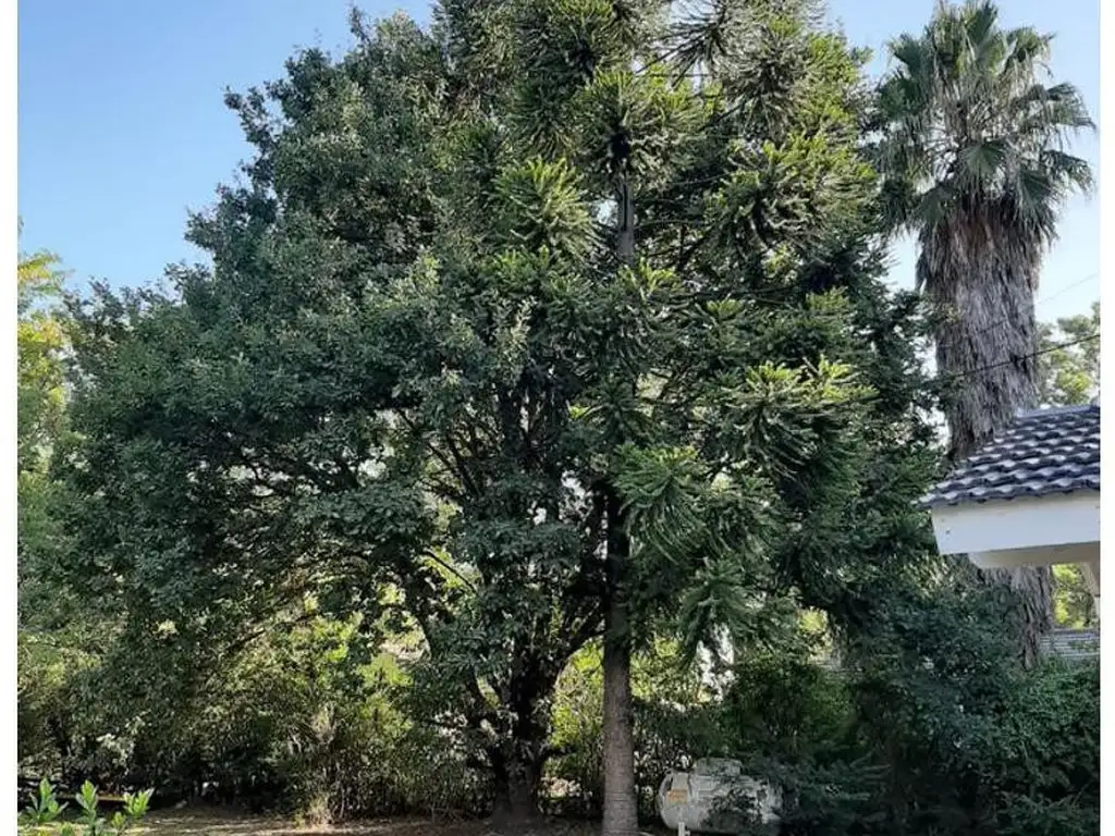 Quinta - El Moro - Foto 15