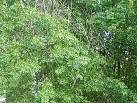 Excelente Lote -barrio Almahue-pte Derqui 2500