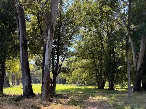 Terreno en Venta en La Lonja, USD 149.000