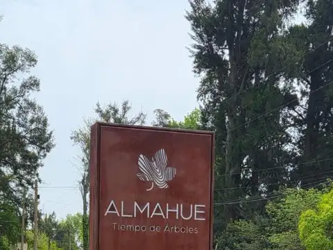 Terreno ALMAHUE-PILAR.