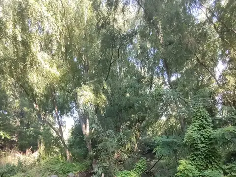 Terreno en Venta de 160000,0 m2