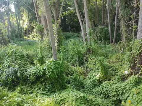 Terreno en Venta de 160000,0 m2