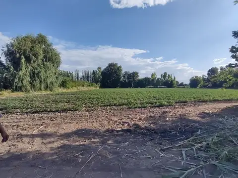 Terreno en Venta en Colonia las Rosas, USD 580.000