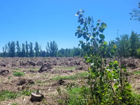 VENTA DE 16 HECTAREAS DE TERRENO CON LAGUNA