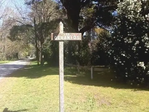 Los Geranios e/ Los Claveles y Las Gladiolas