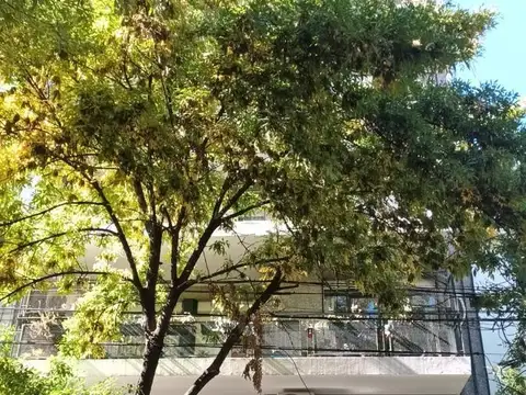 Aranguren al 500