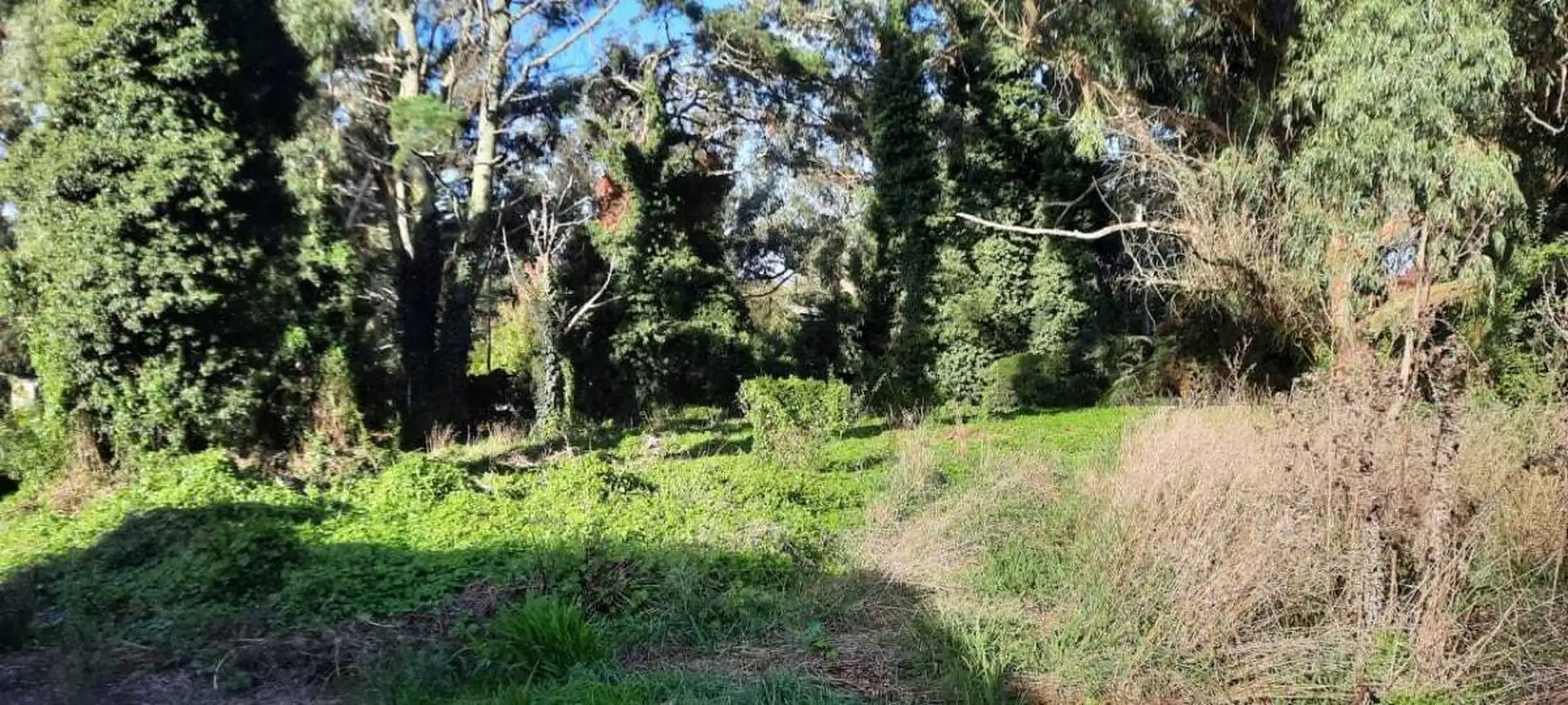 Terreno en venta - Sierra de los Padres - 645 m²