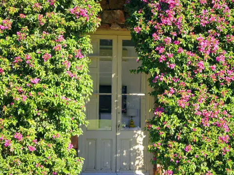 Quinta en Alquiler Temporal en Punta del Este, USD 100.000