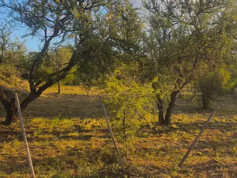 Terreno en Venta de 1043,0 m2
