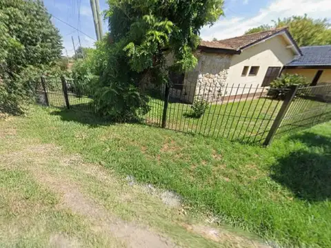 El Chingolo y el Ñandubay 100