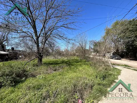 Terreno en Venta 24  mts Frente