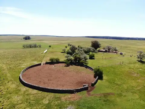 VENTA DE CAMPO GANADERO – 694 HAS. EN RIO NEGRO