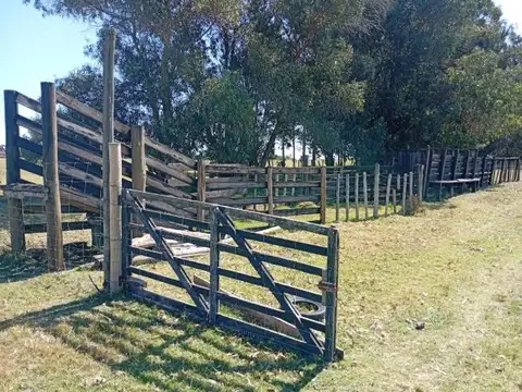 Camino Los Ceibos