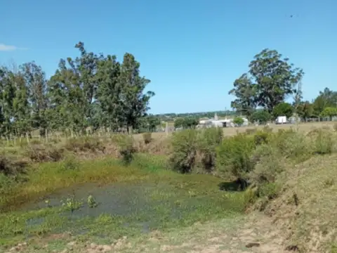Chacra en venta, Camino de los Ceibos, Uruguay