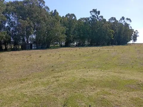Chacra en venta, Camino de los Ceibos, Uruguay
