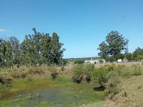 Camino Los Ceibos