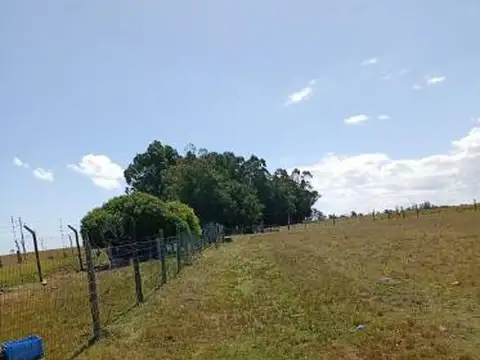 Camino Los Ceibos