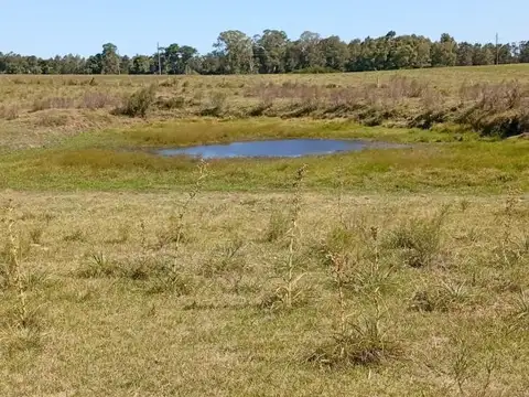 Chacra en venta, Camino de los Ceibos, Uruguay