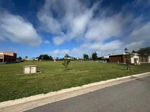 Terreno en Venta de 727,0 m2