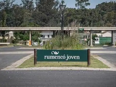 GRAN LOTE EN RUMENCÓ JOVEN