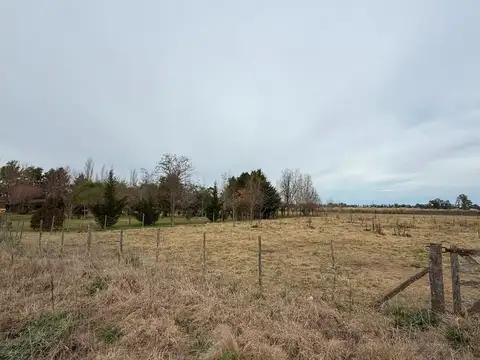 Campo de 1 ha sobre Ruta 5 - Mercedes.