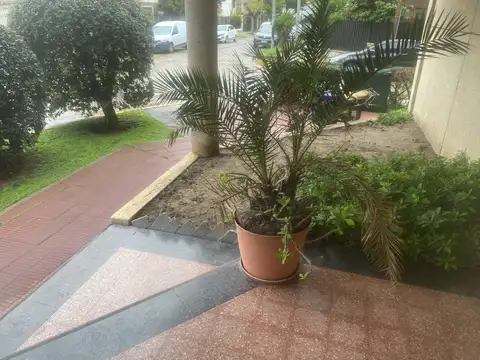 Departamento en Alquiler 50 años