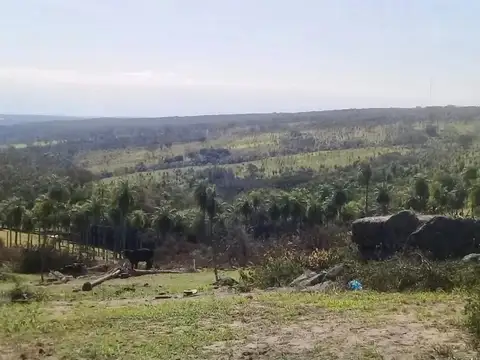 Terreno en Venta de 13762,0 m2